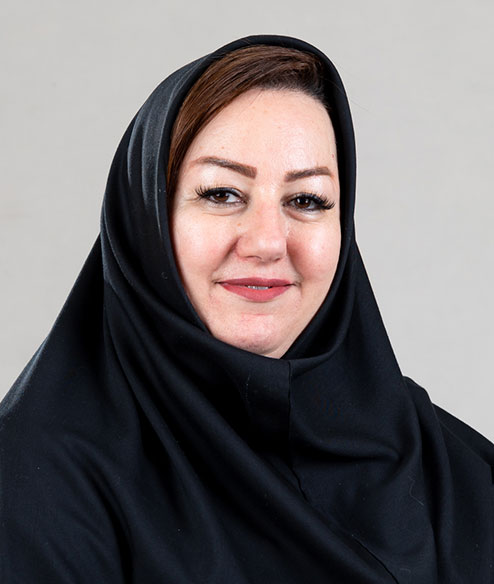 بایبوردی